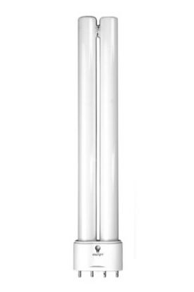 [MPD4D13621] BULB ENERGY SAVING PL (DAYLIGHT) 18 WATT