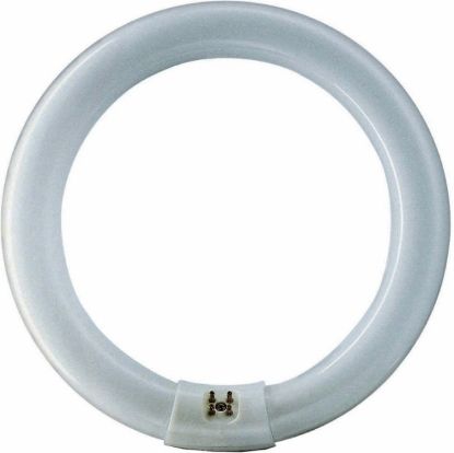 [MPMWBUL01A] Bulb Fluorescent 22W Circular Cool White Model Fc22cw (T9)