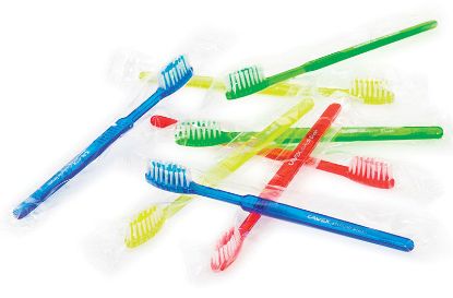 [MPDZPAP360] Toothbrush (Cavex) Rush Brush Impregnated x 100