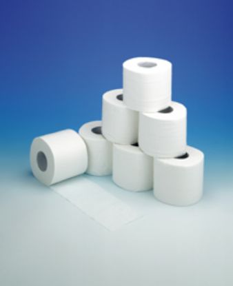 Toilet Paper Rolls 2 Ply x 36 Rolls White