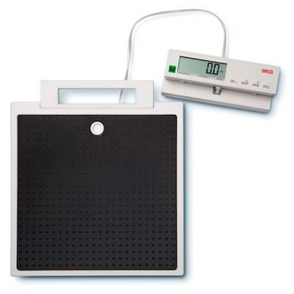 [MPS2899] Scale Seca 899 Flat BMI, Hold And Tare With Cable Remote Display Digital III (200Kg)
