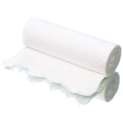 [MPMWCOT01I] Cotton Wool Roll 100gm